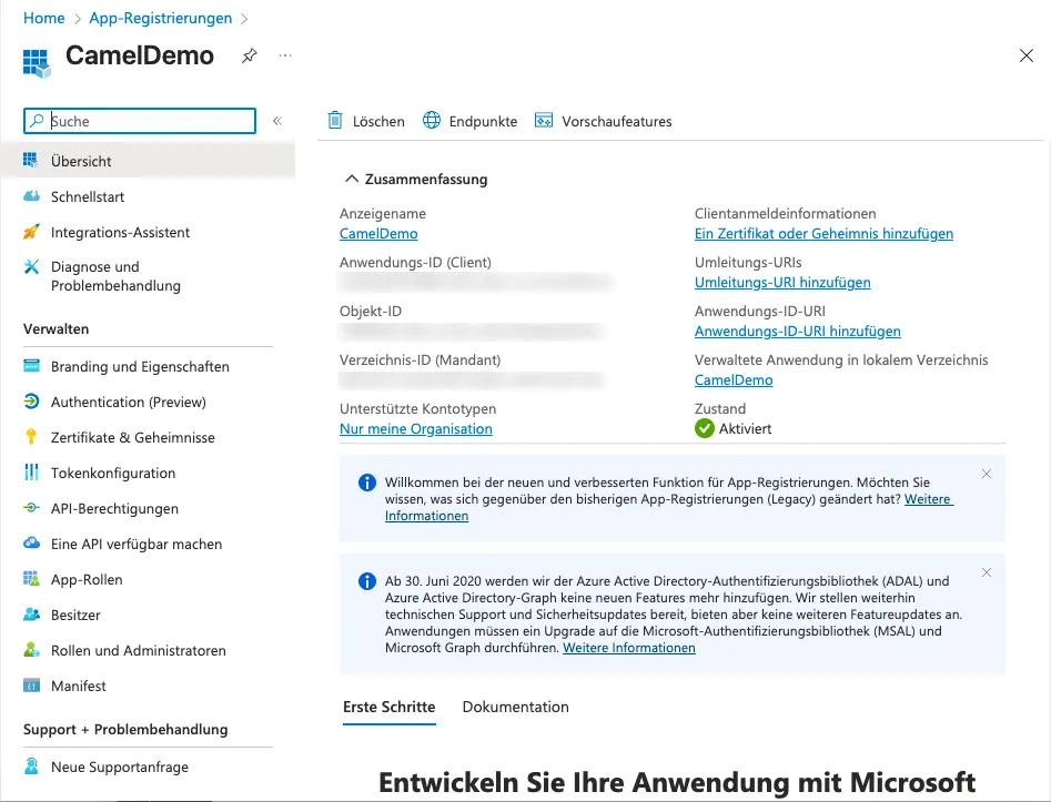 Anwendungsinformation inkl. Client ID