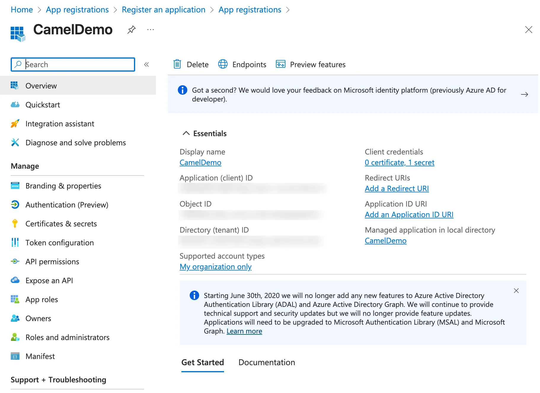 Application information including Client ID
